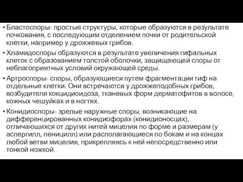 Бластоспоры- простые структуры, которые образуются в результате почкования, с последующим отделением почки