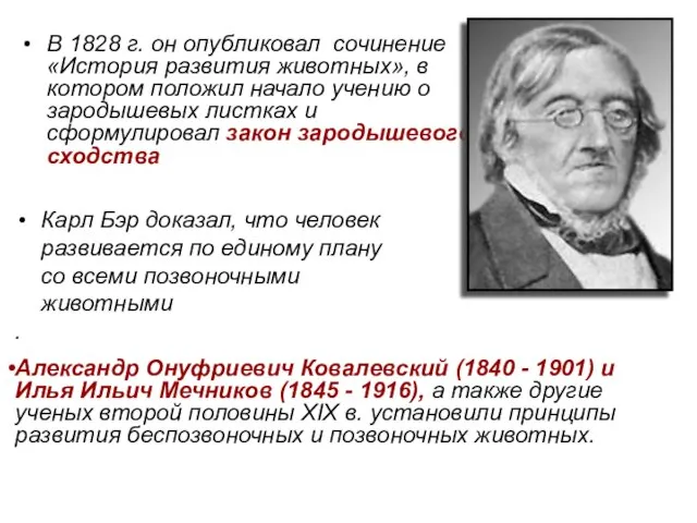 Карл Бэр доказал, что человек развивается по единому плану со всеми позвоночными