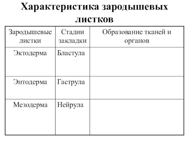 Характеристика зародышевых листков