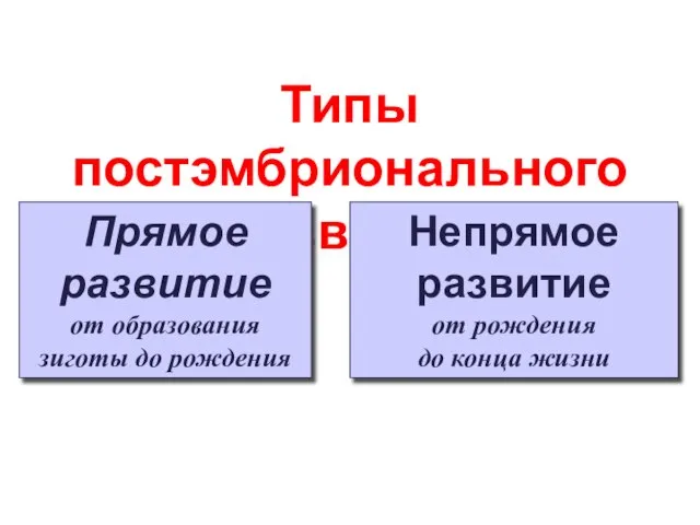 Типы постэмбрионального развития Прямое развитие от образования зиготы до рождения Непрямое развитие