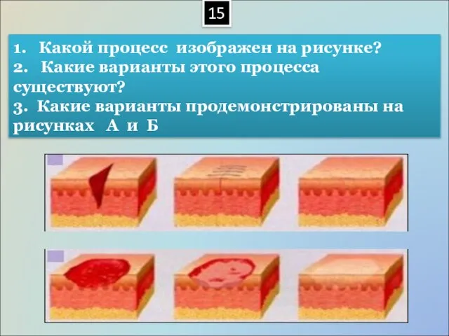 1. Какой процесс изображен на рисунке? 2. Какие варианты этого процесса существуют?