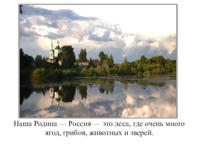 Наша Родина — Россия — это леса, где очень много ягод, грибов, животных и зверей.