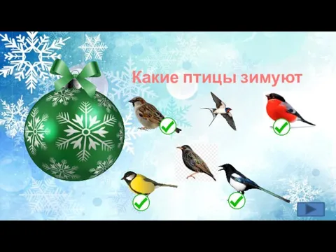 Какие птицы зимуют