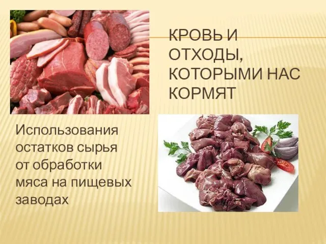 КРОВЬ И ОТХОДЫ, КОТОРЫМИ НАС КОРМЯТ Использования остатков сырья от обработки мяса на пищевых заводах