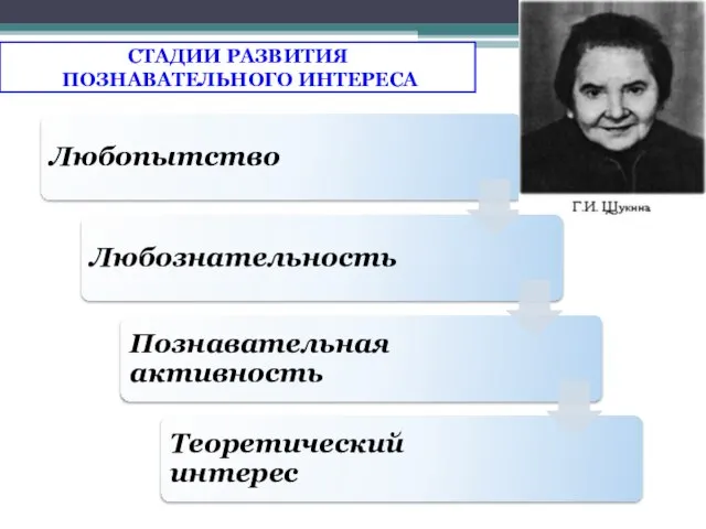 СТАДИИ РАЗВИТИЯ ПОЗНАВАТЕЛЬНОГО ИНТЕРЕСА