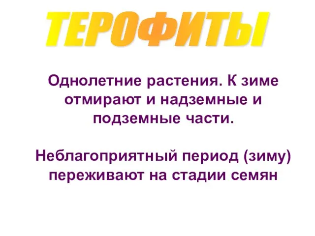 ТЕРОФИТЫ Однолетние растения. К зиме отмирают и надземные и подземные части. Неблагоприятный