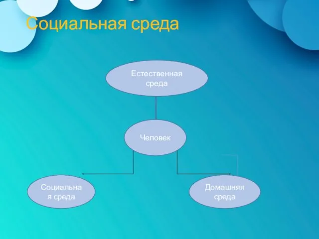 Социальная среда Естественная среда Человек Социальная среда Домашняя среда