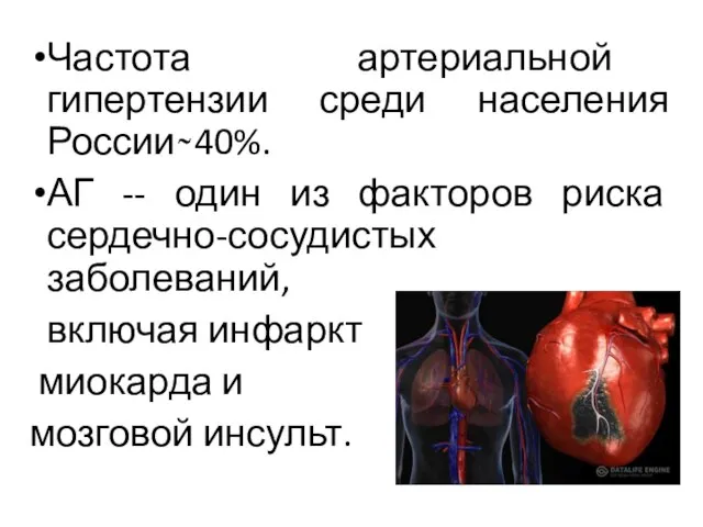 Частота артериальной гипертензии среди населения России ̴̴ 40%. АГ -- один из