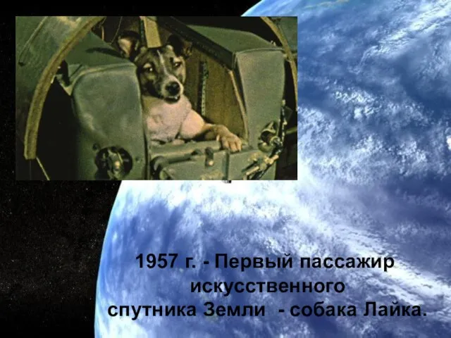 1957 г. - Первый пассажир искусственного спутника Земли - собака Лайка.