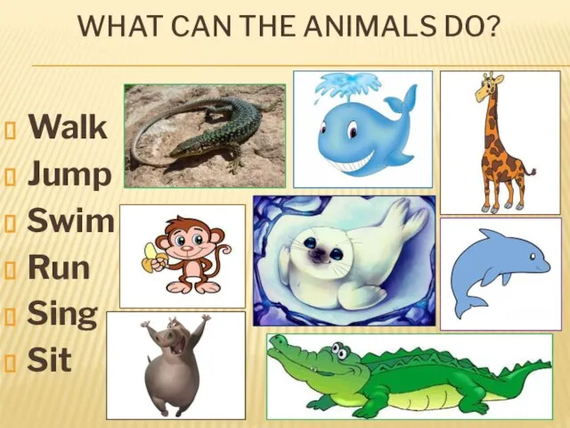 WHAT CAN THE ANIMALS DO? Walk Jump Swim Run Sing Sit