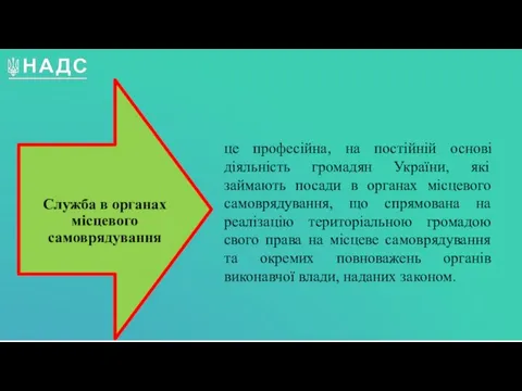 це професійна, на постійній основі діяльність громадян України, які займають посади в