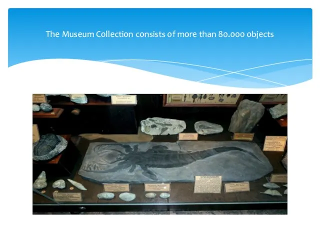 The Museum Collection consists of more than 80.000 objects