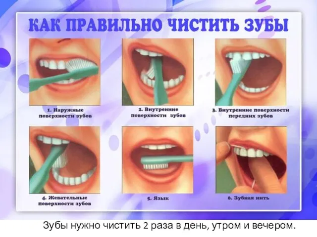 Зубы нужно чистить 2 раза в день, утром и вечером.