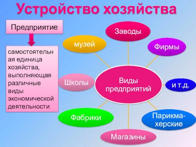 Устройство хозяйства Предприятие самостоятельная единица хозяйства, выполняющая различные виды экономической деятельности