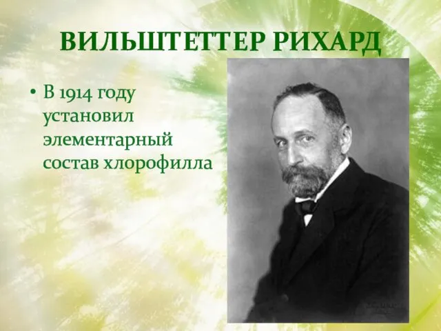 ВИЛЬШТЕТТЕР РИХАРД В 1914 году установил элементарный состав хлорофилла
