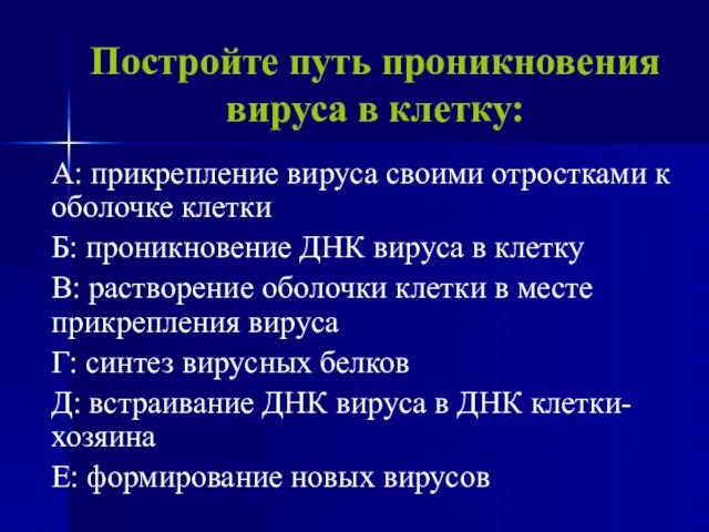 Постройте путь проникновения вируса в клетку: А: прикрепление вируса своими отростками к