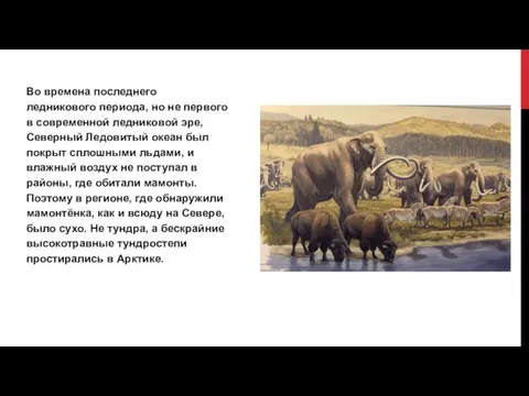 Во времена последнего ледникового периода, но не первого в современной ледниковой эре,