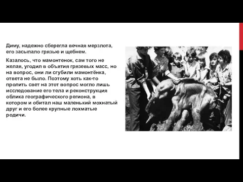 Диму, надежно сберегла вечная мерзлота, его засыпало грязью и щебнем. Казалось, что