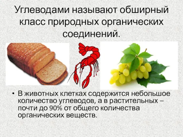 Углеводами называют обширный класс природных органических соединений. В животных клетках содержится небольшое