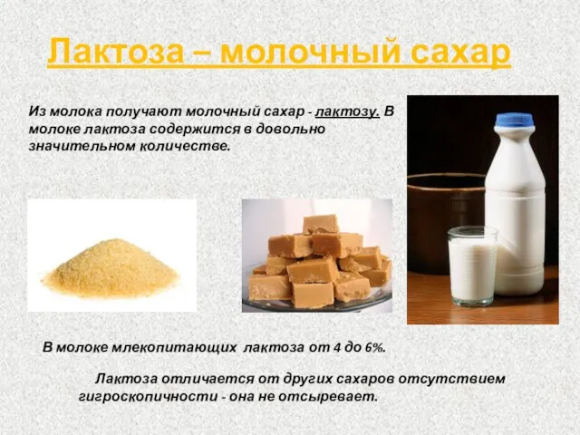 Из молока получают молочный сахар - лактозу. В молоке лактоза содержится в