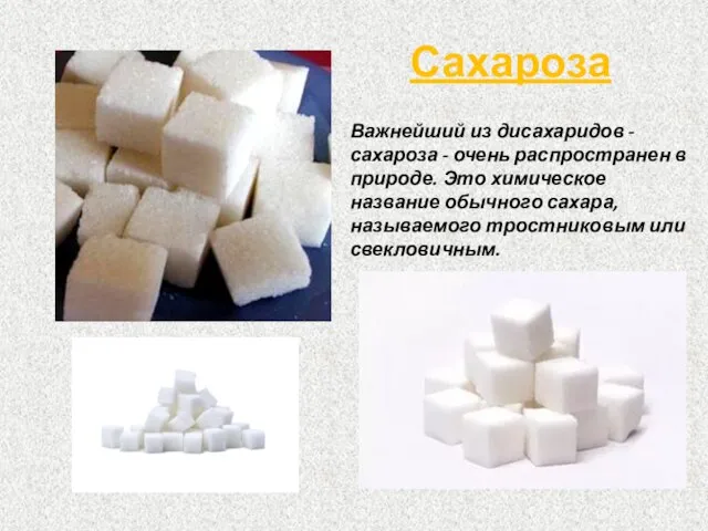 Важнейший из дисахаридов - сахароза - очень распространен в природе. Это химическое