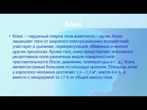 Кожа Кожа — наружный покров тела животного— орган. Кожа защищает тело от