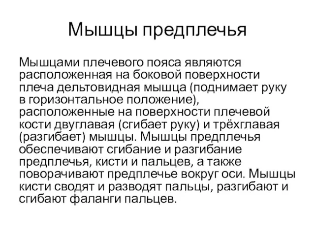 Мышцы предплечья Мышцами плечевого пояса являются расположенная на боковой поверхности плеча дельтовидная