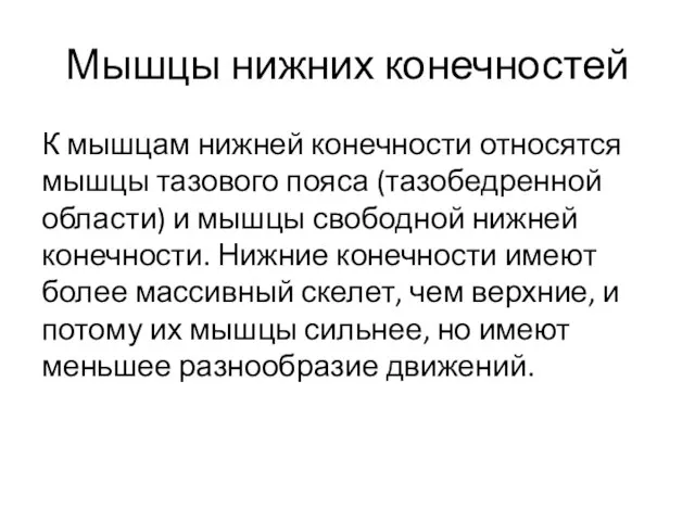 Мышцы нижних конечностей К мышцам нижней конечности относятся мышцы тазового пояса (тазобедренной