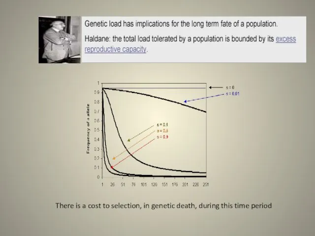There is a cost to selection, in genetic death, during this time period