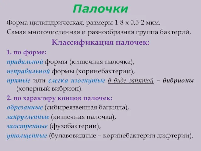 Палочки Форма цилиндрическая, размеры 1-8 х 0,5-2 мкм. Самая многочисленная и разнообразная