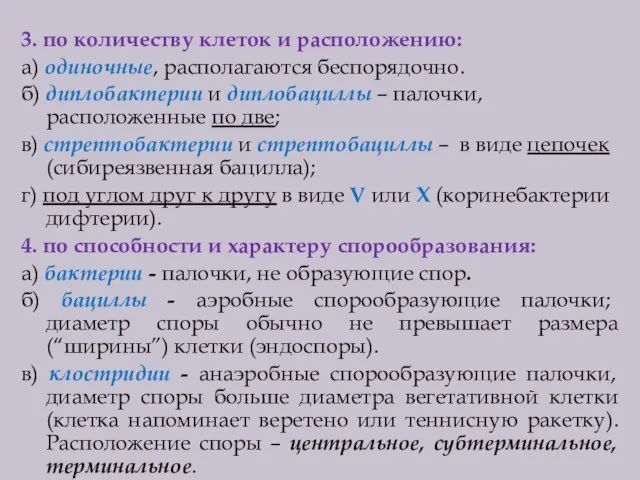 3. по количеству клеток и расположению: а) одиночные, располагаются беспорядочно. б) диплобактерии