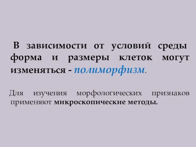 В зависимости от условий среды форма и размеры клеток могут изменяться -