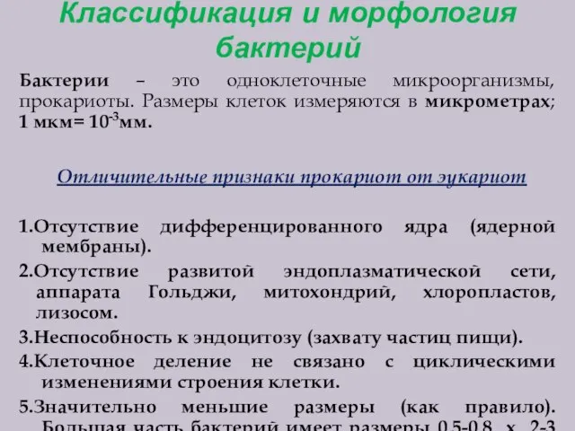 Классификация и морфология бактерий Бактерии – это одноклеточные микроорганизмы, прокариоты. Размеры клеток