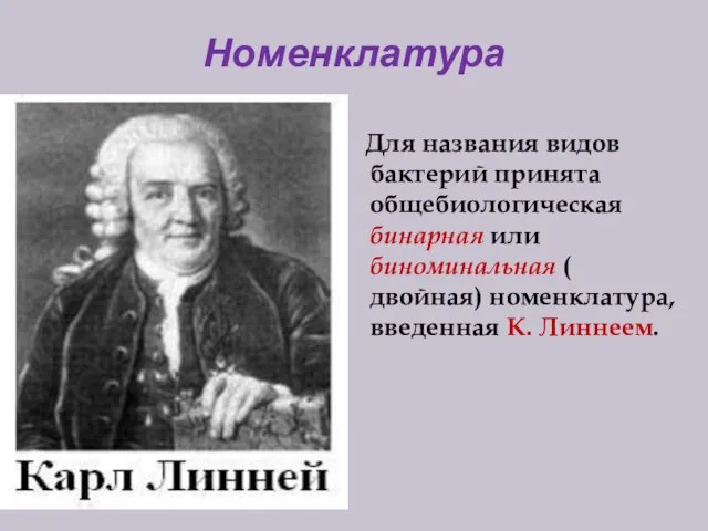 Номенклатура Для названия видов бактерий принята общебиологическая бинарная или биноминальная ( двойная) номенклатура, введенная К. Линнеем.