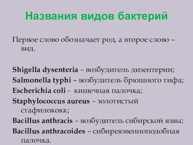 Названия видов бактерий Первое слово обозначает род, а второе слово – вид.