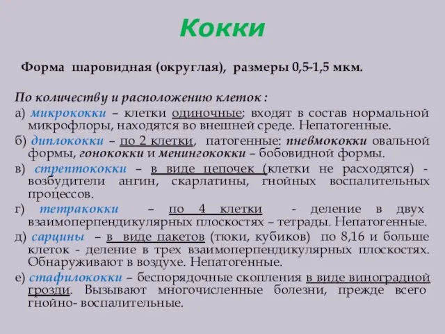 Кокки Форма шаровидная (округлая), размеры 0,5-1,5 мкм. По количеству и расположению клеток