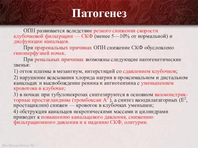 Патогенез ОПН развивается вследствие резкого снижения скорости клубочковой фильтрации — СКФ (менее