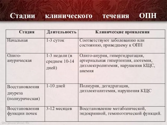 Стадии клинического течения ОПН