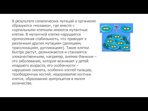 В результате соматических мутаций в организме образуются «мозаика», где вместе с нормальными