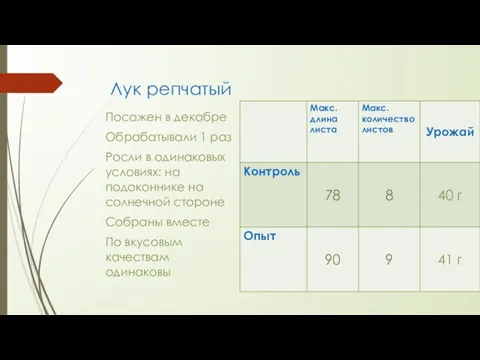 Лук репчатый Посажен в декабре Обрабатывали 1 раз Росли в одинаковых условиях: