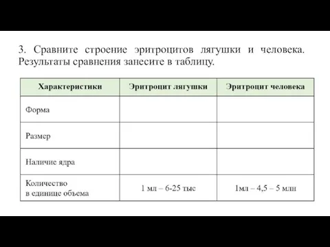 3. Сравните строение эритроцитов лягушки и человека. Результаты сравнения занесите в таблицу.