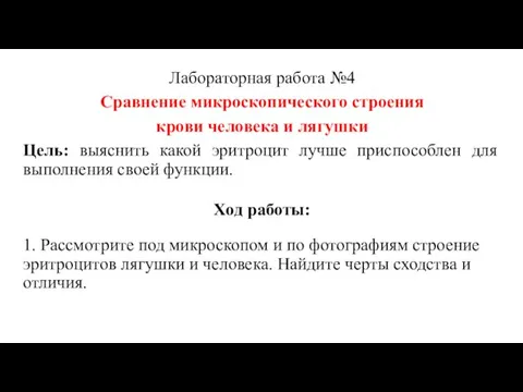 Лабораторная работа №4 Сравнение микроскопического строения крови человека и лягушки Цель: выяснить