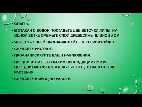 ОПЫТ 2. В СТАКАН С ВОДОЙ ПОСТАВЬТЕ ДВЕ ВЕТОЧКИ ЛИПЫ. НА ОДНОЙ