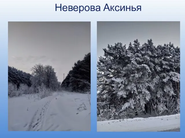 Неверова Аксинья