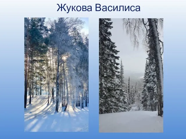 Жукова Василиса