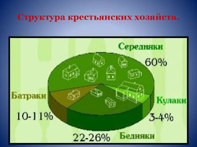 Структура крестьянских хозяйств.