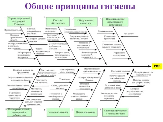 Общие принципы гигиены