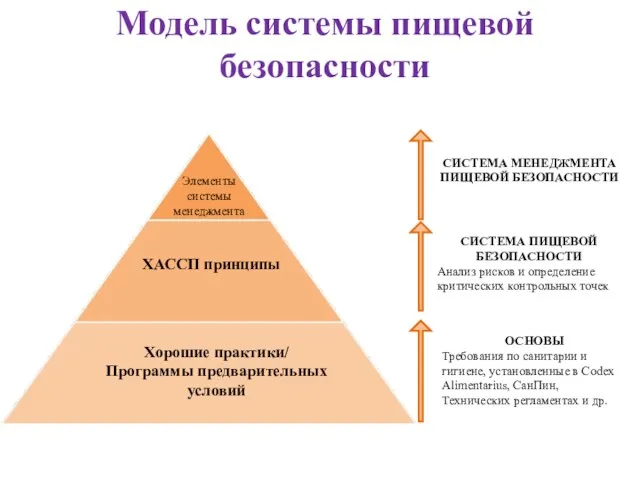 Модель системы пищевой безопасности ОСНОВЫ Требования по санитарии и гигиене, установленные в