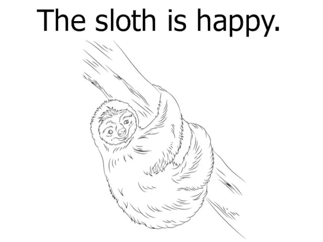 The sloth is happy.