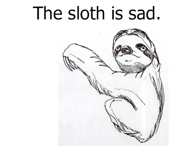 The sloth is sad.